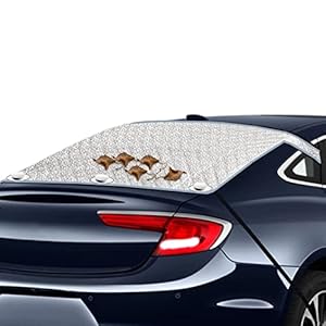 Amesor Heckscheiben Eisschutzfolie Magnetisch