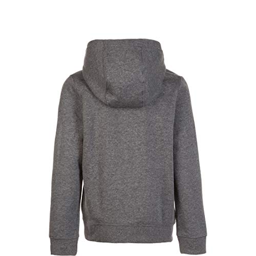 Nike Y Hoodie Po FLC TM Club19 Hoodie Enfant - Image 5