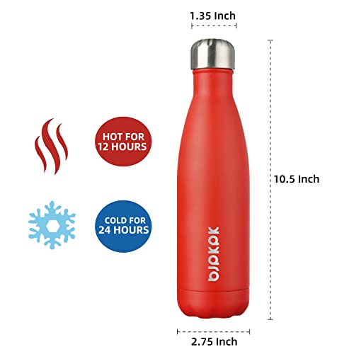 Image of BJPKPK 17 oz Insulated Water Bottle, Stainless Steel Flask, Leak Proof