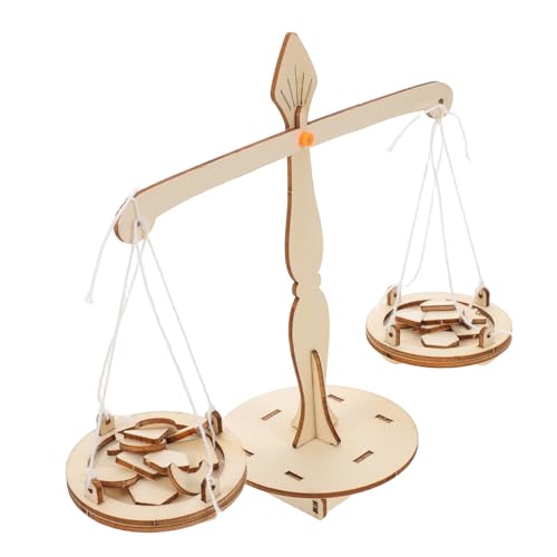 FUNOMOCYA 5 Pezzi Di Giocattolo Di Matematico Per Esperimenti Scientifici Da Assemblare Giocattolo Per L'Apprendimento Scientifico Dei Bilancia Matematica Kit