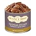 The Peanut Shop of Williamsburg Roasted Georgia Pecans, Lightly Salted, Tin, 8.5 Ounce