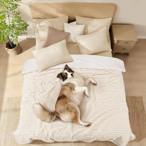 luciphia wasserdichte Hundedecke Waschbar, Katzendecke für Katzen Hund Welpe, Kuscheldecke Weich Flaushig Sherpa Fleece, Haustier Decke zum Schutz von Bett Sofa Couch, Beige Weiß 71 * 102cm