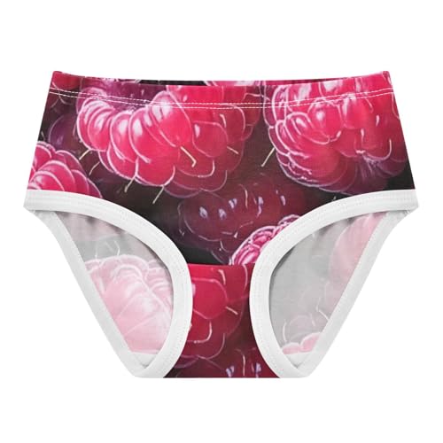 Cotton Girls Underwear Toddlers Digital Fresh Raspberries Little Girl Panties Aesthetic Briefs Girls Undies 2t