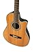 Ovation Pro Series Classic - 1773AX-4-G