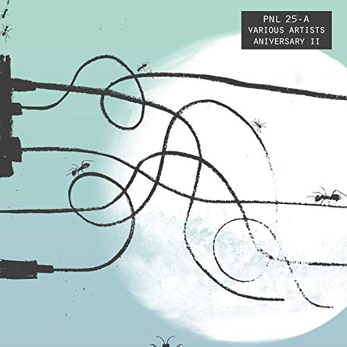 Ya Nadie Se Sorprende