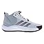 Footwear White/Team Maroon/Stone-white