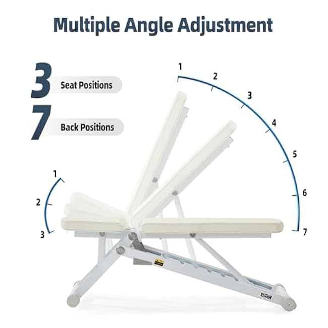 DHT Adjustable Weight Bench for Full Body Workout, Heavy Duty Foldable Bench Press for Home Gym Strength Training, Incline Decline Flat Utility Workout Bench with Fast Adjustment