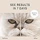 Eye Envy Katzen-Tränenflecken-Entferner Starter Kit mit ProPowder Pinsel | Färbelösung, Applikatorpads, Färbepulver und Kleiner Applikatorpinsel | Dauert 30-45 Tage