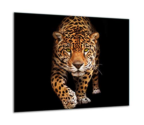 TMK Plaque de recouvrement pour cuisinière, 60 x 52 cm, en verre, décorative, pour cuisinières électriques, à induction, protection anti-éclaboussures, planche à découper, noire, motif de chat