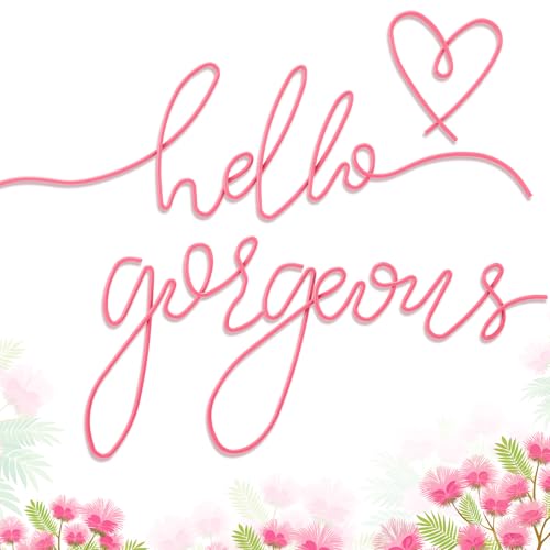 Hicarer Hello Gorgeous Metal Wall Art Decor Minimalist Decoration Metal Hello Gorgeous Decorative Sign for Living Room Office Bedroom Hotel Home Wall Decoration(Pink,Classic Style)