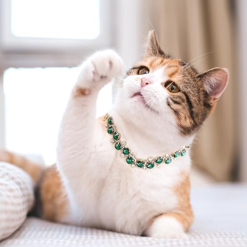 Image of HOWWFALY Dog Collar and Cat Collar Gold Chain Necklace Stainless Steel Adjustable Green Rhinestones Collar with Cute Pet Paw for Small Medium Pets Cats Dogs Kitten Puppy (Green, L)