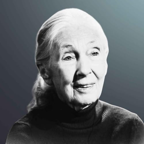 Les derniers mots de Jane Goodall, primatologue et voix de sagesse Podcast Por  capa
