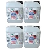 PIP Detergente Lavabicchieri Enoteca Ballon, Detersivo Professionale Lavastoviglie, Bicchieri Ballon, Calici di Vino, Bicchiere Degustazione, Brillantante, Anticalcare, Tanica TK LT. 5