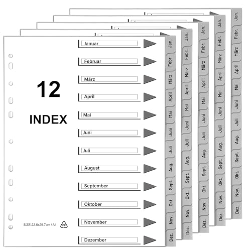 Thboxes Juego de 5 separadores para carpetas A4 meses de enero a diciembre, 12 separadores de polipropileno, A4, para carpetas de anillas, carpetas de palanca, oficina, escuela (gris)