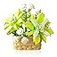 Gardenia 206psc Gardenia 206psc
