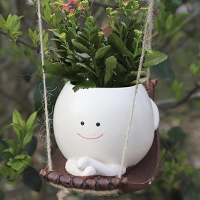 CEOJPA Swing Hanging Planter