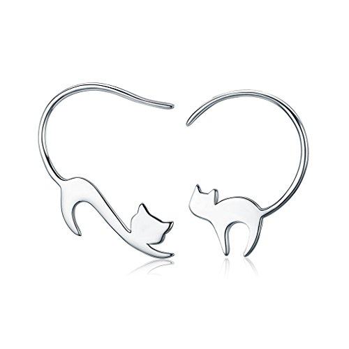 Preisvergleich Produktbild Presentski Asymmetrische Ohrringe Silber 925 Hängende Ohrhänger Medizinische für Damen Mädchen Kinder Bërgsteiger