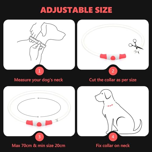 Light Up Dog Collar for The Dark Dog Collar Light with USB Rechargeable, Led Dog Collar - Image 4