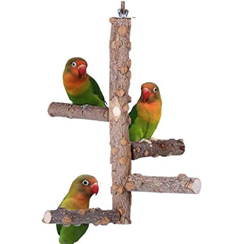 KINTOR Bird Perch for Small Parrots Cover