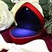 HEALEEP Ring Box with Light: Fashion Heart-shaped Engagement Ring Case Display Organizer for Proposal Anniversary Wedding