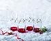 Pfaltzgraff Winterberry Cooler Glasses (20-Ounce, Set of 4)