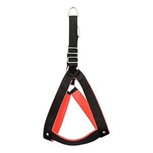 VIP COLLECTION Premium Strong Nylon Everyday Dog Harness (Extra Small, Black/Red)