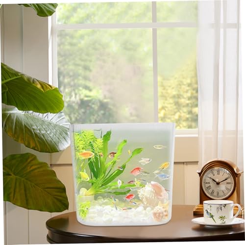 Bocal à poissons portable petit format idéal comme mini aquarium - 6