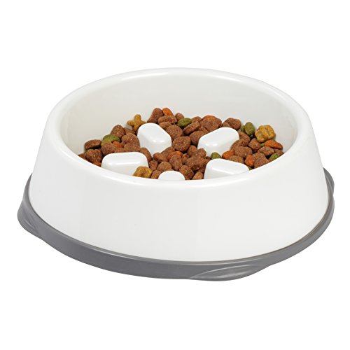 IRIS USA 4-Cup Slow Feeder White Gray