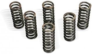 CLUTCH SPRING KIT SUZ
