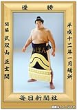 武双山正士関 優勝ミニ額 大相撲ミニ額 大相撲優勝額 平成12年1月場所 優勝 関脇 武双山正士関 ※受注生産品のため、ご注文後はいかなる理由でも返品、返金はできません
