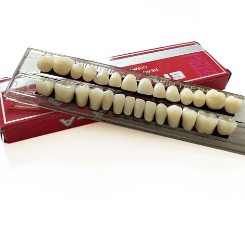 Image of 56pcs Dental Synthetic Resin Teeth Denture False Tooth Denture Model Teeth 2 Sets Halloween Horror Teeth, 23 A3
