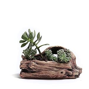DIYOMR Cement Driftwood Planter Pots Imitation Stump Log Concrete Flower Succulent Pot/Container (7.7" L x 3.9" W x 3.7" H,Brownish Red) DIYOMR Cement Driftwood Planter Pots Imitation Stump Log Concrete Flower Succulent PotContainer 77 L x 39 W x 37 HBrownish Red
