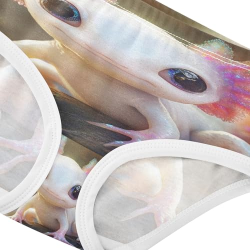 Cute Axolotl Undersea Toddler Girls's Underwear 2T 202b88504