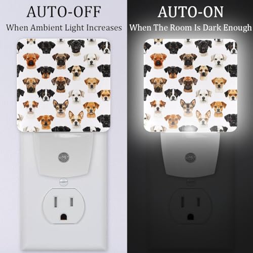 Lámpara nocturna LED con sensor, pack 2 unidades miniatura 2