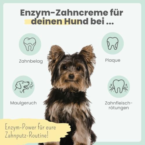 noms+ Enzymodent Enzymatische Hundezahnpasta mit natürlicher Pflege- und Präventionsformel gegen Mundgeruch und Zahnstein beim Hund