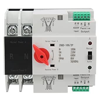 Eujgoov Interruttore di trasferimento automatico 100A
