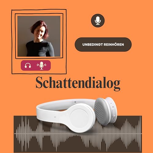 Couverture de Schattendialog