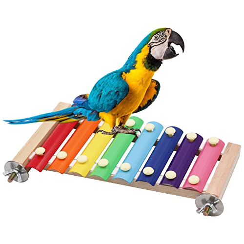 Dnoifne Xylophone coloré pour oiseaux, jouet xylophone amusant à suspendre avec 8 clés en métal, accessoires pour cage à oiseaux, poulet, perroquet, perruche,...