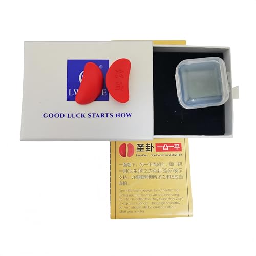 LWDUDE I Ching Spiritual Divination Tool, Fortune Telling Set Comes with Instructions for Beginners, Three Answers Determine The Choice, Guide Decision Making Faster Than Astrology and Tarot Cards.