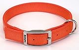 Remington Orange 1-Inch by 24-Inch Reflective Dog Collar