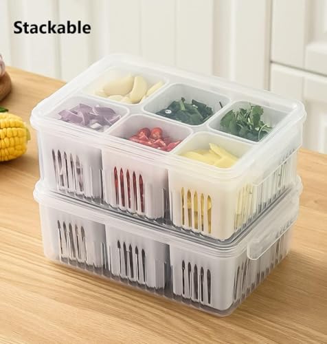 Image of VOLCANO Fridge Storage Containers, Fridge Organizer with Removable Drain Plate & Secure-Sealing Lids, Fridge Storage Boxes Keep Fruits, Vegetables Fresher, Container Box (6 grid Fridge Storage Box)