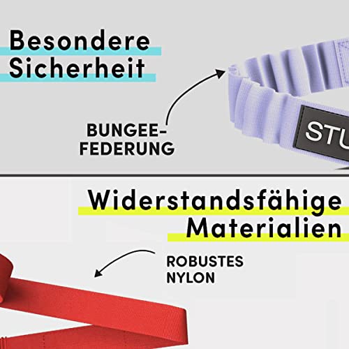STUCH Universeller Bungee Sicherheitsgurt für Hunde & Katzen - Passend für alle Hunderassen & Autotypen (Farbe Rot) OneSize