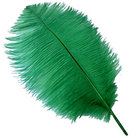 Shekyeon 16-18inch 40-45cm Ostrich Feather DIY Craft Feather Pack of 10(Dark Green) Cover