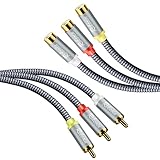 RIKSOIN Audio Video Cable, [Shielded,Gold-Plated] 3-Male to 3-Female Stereo Audio Video Extension Cable, Composite Extension Video Cable DVD CD AV TV(10FT)