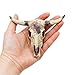 Oooct Bearded Dragon Tank Decor Accessories, Resin Cattle Skull Reptiles Hideouts Decorations, Decor Statue for Fish Aquarium Cave Landscape