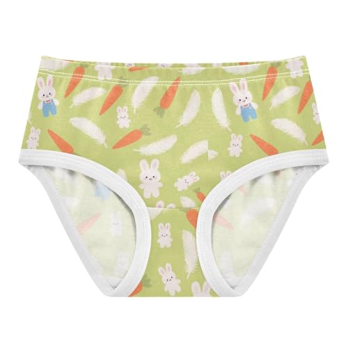 Bunny Rabbit Carrot Dandelion Toddler Girls's Underwear 2T 2300661