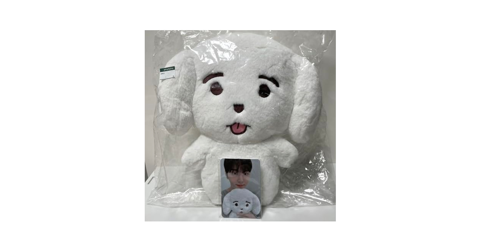 SF9 ジェユン ジェンベック 쟁109 ぬいぐるみ 28cmトレカ 特典 SF9 ジェユン ジェンベック 쟁109 ぬいぐるみ 28cmトレカ 特典