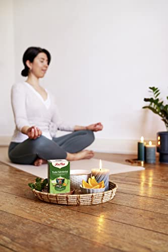 Yogi Tea - Seelenbalsam, Ayurvedischer Bio Kräutertee, Mischung aus Kakaoschalen, Rooibos und Orange, Yogi Tee 3er Pack, 3x17 Beutel (51 Teebeutel insgesamt), Ideal als Geschenk
