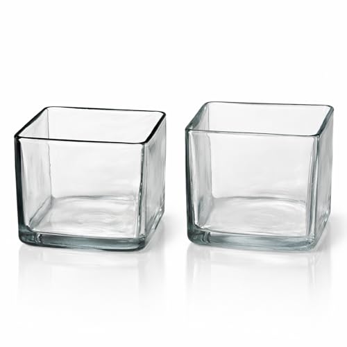 Image of KALAKRITI 5 Inch Clear Square Glass Flower Vase | Modern Cube Decorative Vase for Fresh, Artificial Flowers & Floral Arrangements | Table Centerpiece for Home, Office, Hotel & Restaurant (Pack of 1)
