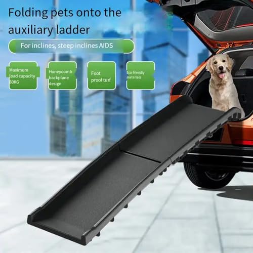 image for COOLOUS 62